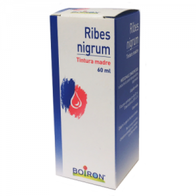 RIBES NIGRUM 60ML TINTURA MADRE